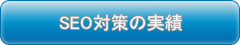 SEO対策の実績